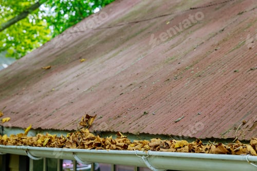 Preview: Yellow leaves are covered with iron gutter cover on a roof with leaves