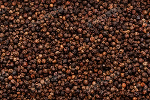 Preview: Black pepper, peppercorns, dry spice, food background texture, top view