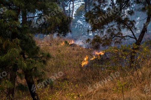 Preview: Drone view of Fires in Hattiban Forest in Kathmandu, Nepal.