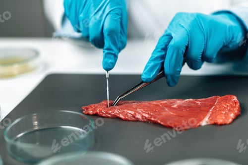 Preview: Food Safety and Quality Control - Testing Red Meat
