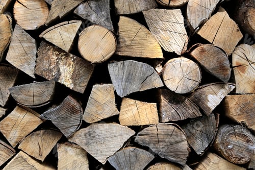 Preview: Firewood pile stacked chopped wood trunks