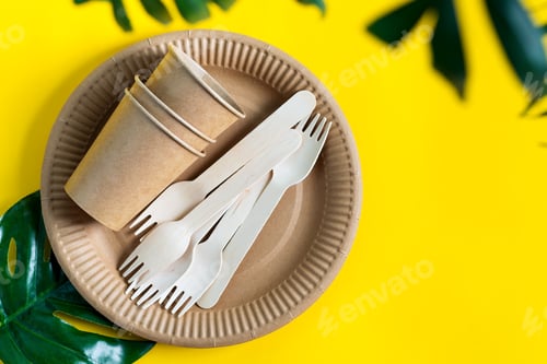 Preview: Eco friendly disposable set of dishware made from paper and wood on a yellow background with green