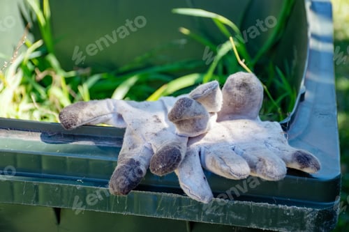 Preview: Green bin container filled with garden waste. Dirty gardening gloves