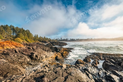 Preview: Pacific ocean coast