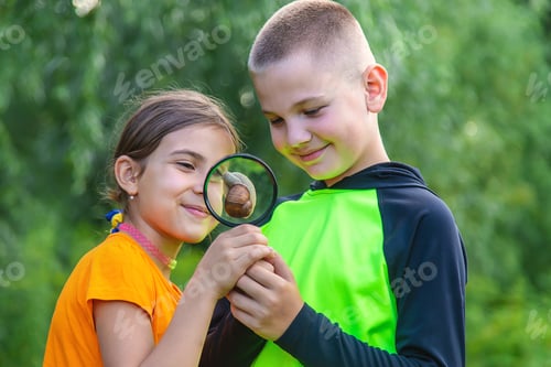 Preview: The child looks at the snail. Selective focus.