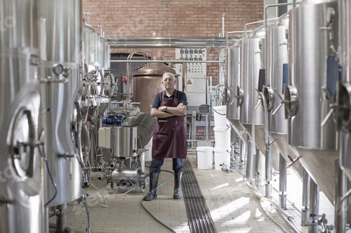 Preview: Portrait of brewer in brewery, standing next to stainless steel tanks