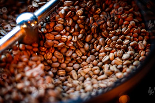 Preview: Coffee beans in a coffee machine, in dark colors.