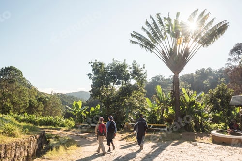 Visualização: Entering Ranomafana National Park, Madagascar Central Highlands