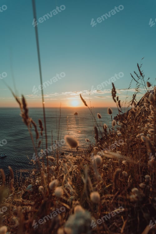 Preview: A composed shot of the sunset from the coast in Spain with a lot of plants