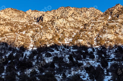 Preview: Snow capped mountains and fir trees in the winter park
