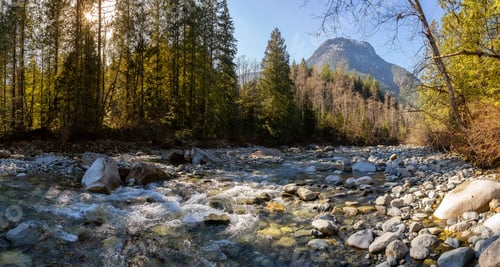 Preview: Panoramic View of the river in the Canadian Mountain Landscape