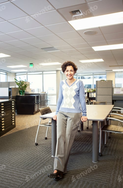 Preview: A portrait of a businesswoman in her office.