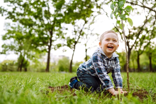 Preview: Planting a family tree. Little boy helping his grandfather to plant the tree while working together.