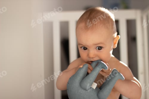 Preview: A little boy is played with a toy. Little boy's children's room. Morning in the children's room.