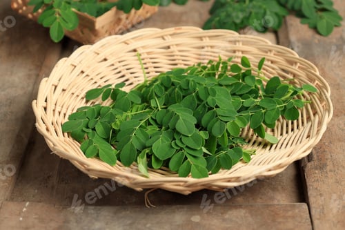 Preview: Closeup of Moringa Oleifera Leaves or Drumstick Tree Leaves