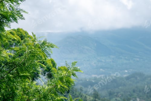 Preview: Foggy Mountain range in the distance and tree branch foliage in the foreground in focus.