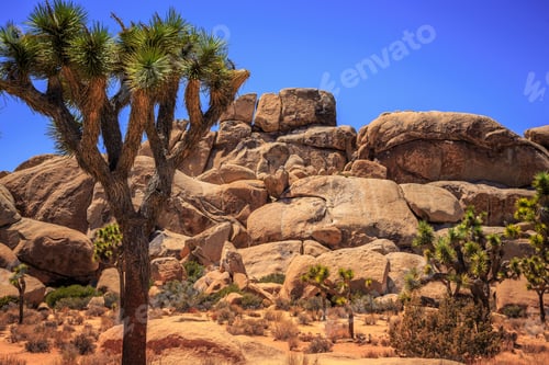 Preview: Rocks And Landscapes Of Joshua Tree In Joshua Tree National Park, California