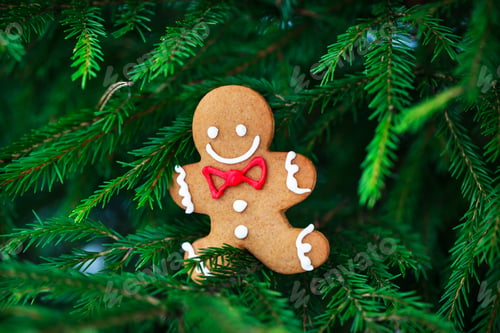 Preview: Gingerbread man Christmas cookies on fir-tree outdoor background