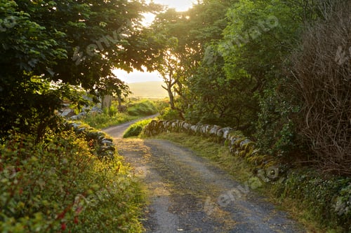 Preview: Rural road, Clifden, Connemara, Ireland