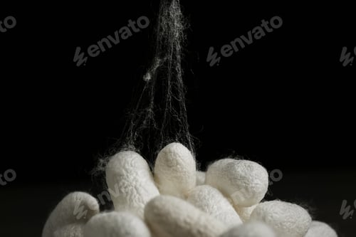 Preview: Heap of white silk cocoons on black background, closeup