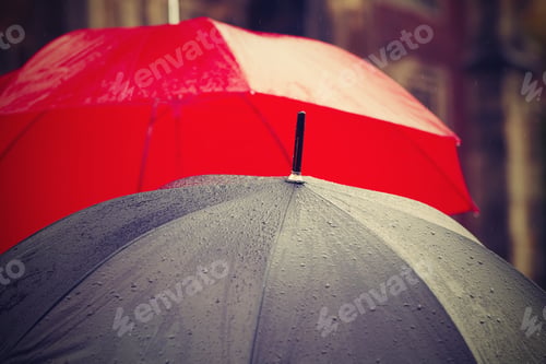Preview: Rainy day