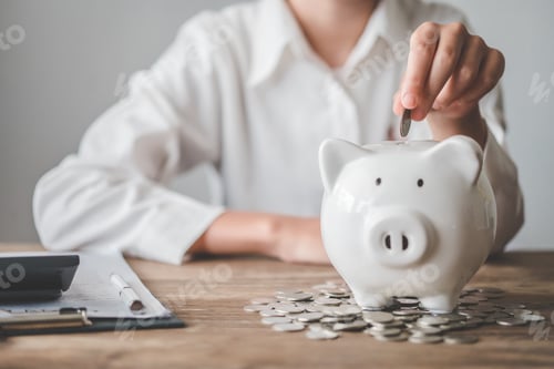 Preview: Hand holding coin with pig piggy bank. Saving and financial accounts concept