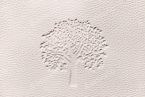 Preview: Relief texture with wood on a white background.white embossed faux leather background