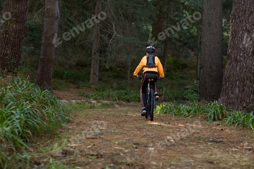 Preview: Female Biker Cycling In Countryside Forest
