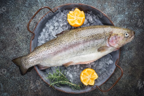 Preview: Raw trout fish