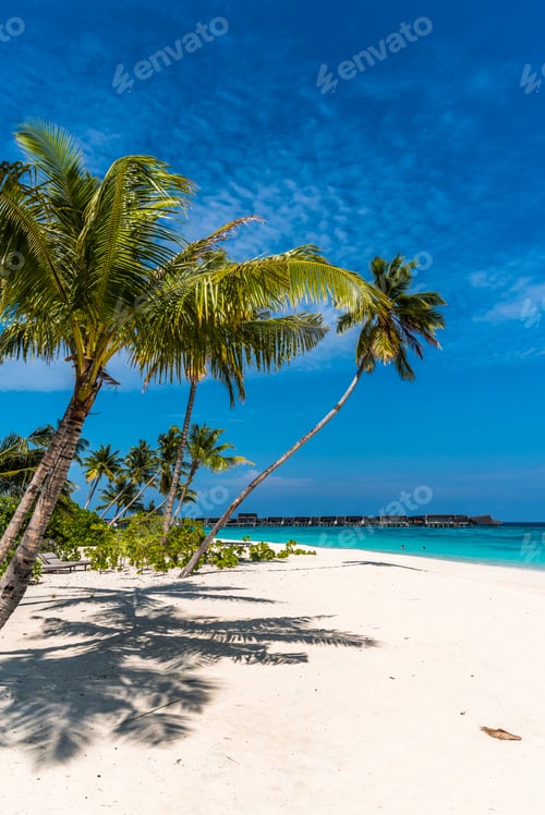 Preview: Beautiful white sandy beach, turquoise water and blue sky at St. Regis Maldives.