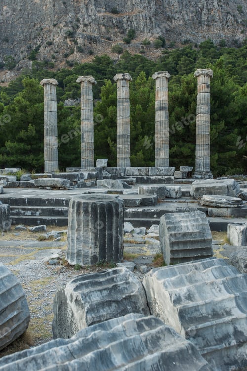 Preview: Columns of Priene