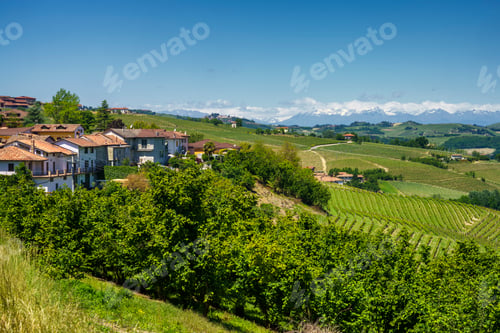 Preview: Vineyards of Langhe, Piedmont, Italy at May