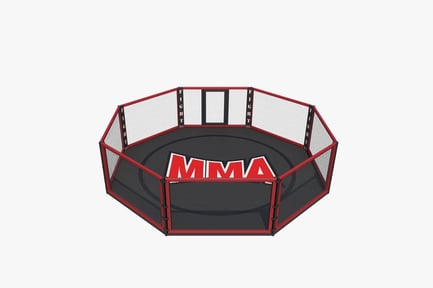 Preview: Octagonal Fight Cage: Professional MMA Ring