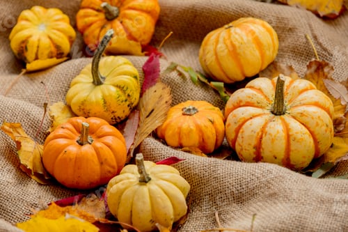 Preview: Orange pumpkins and leaves on rumpled sackcloth