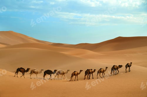 Preview: Caravan in desert
