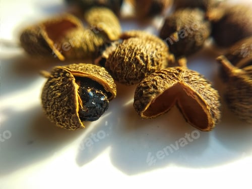 Preview: Close-up of Sichuan Peppercorns on a White Surface