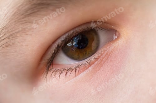 Preview: Close up macro of child boy eye
