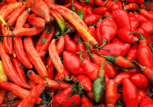 Preview: Most popular food in the world