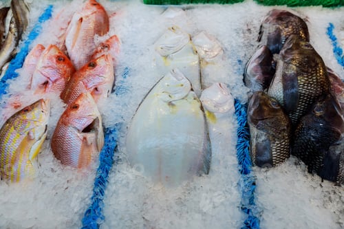 Preview: Fish on the counter at the store frozen fish on the counter at the supermarket