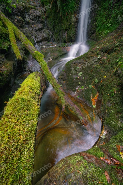 Preview: Mossy tree trunks fallen into the pools generated by a waterfall