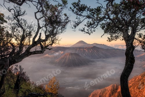 Preview: Mount volcano an active with tree frame at sunrise