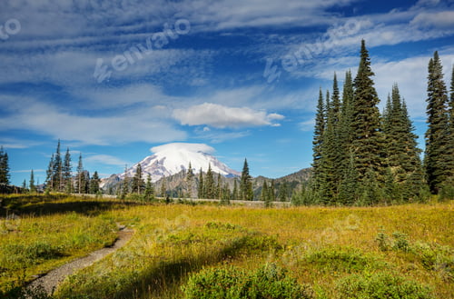 Preview: Mt Rainier