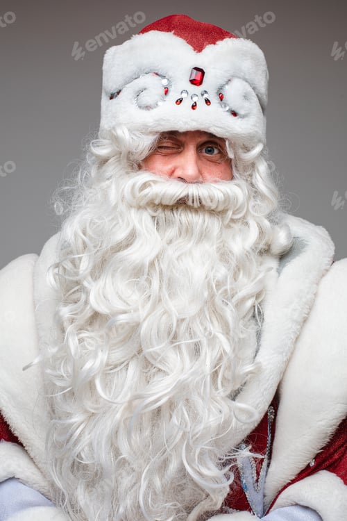 Preview: portrait of winking father frost