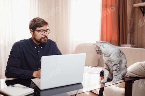 Preview: Man working from home on laptop. Home office with pet cat
