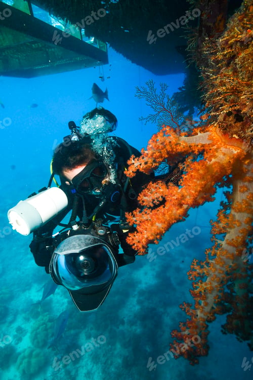 Preview: scuba diver pose close to a coral