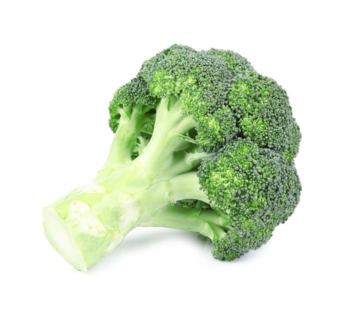 Preview: Fresh green broccoli on white background. Organic food