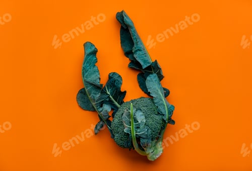 Preview: Fresh organic broccoli cabbage with leaves on bright orange background, top view