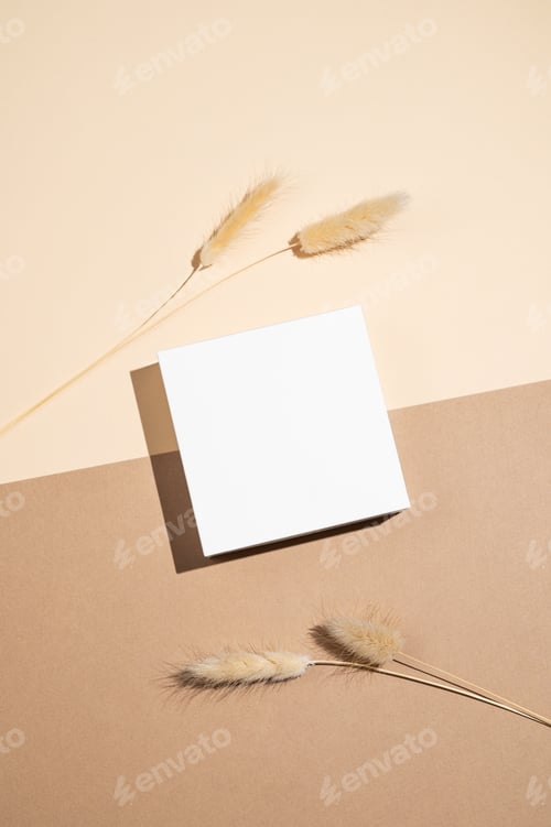 Preview: White podium or box with shadow on diagonally divided yellow and brown background with dry flowers.