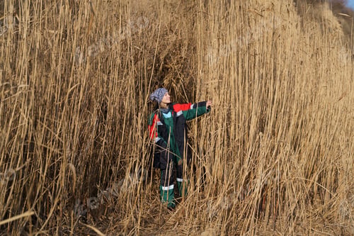 Preview: Woman watching nature walking among fern
