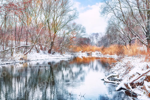 Preview: Amazing Winter landscape by a river.